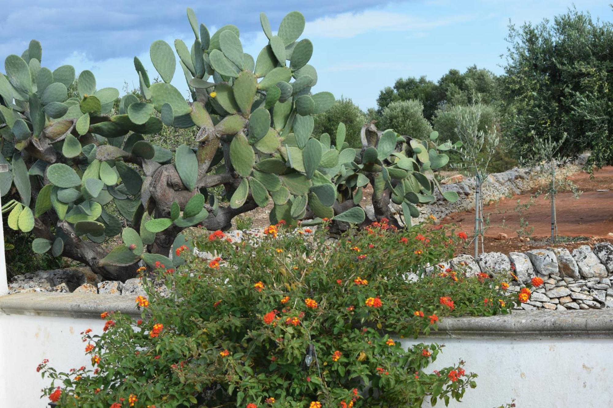Villa Mimi Ostuni Exterior foto
