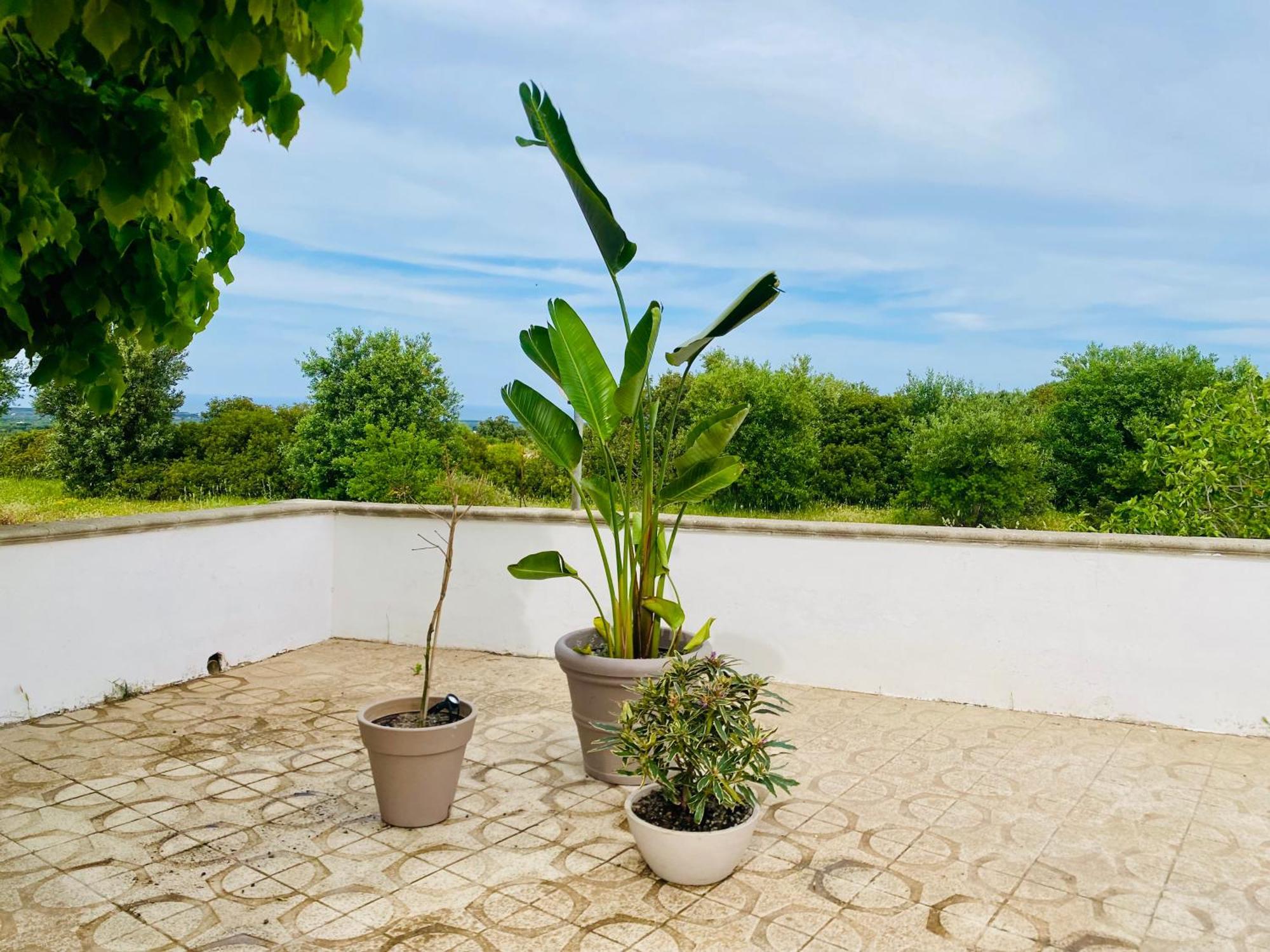 Villa Mimi Ostuni Exterior foto
